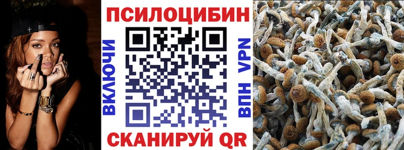 продажа наркотиков  Шагонар  Псилоцибиновые грибы прущие грибы 