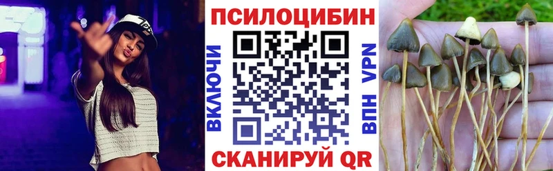 Псилоцибиновые грибы MAGIC MUSHROOMS Шагонар